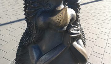 ёжикова поляна